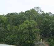 July4th2008 307